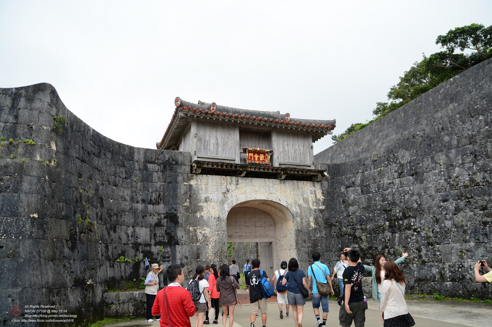 DSC_3232.jpg